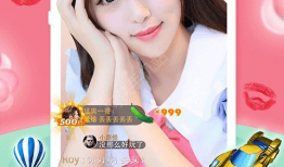 伊人在线视频,揭秘虚拟世界中的真实情感与互动